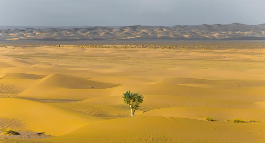 Dynamics 365 Sales Insights, vender en tiempos difíciles.  